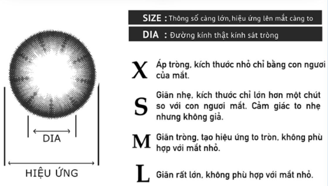 Bang-size-cua-kinh-ap-trong-phan-loai-X-S-M-L