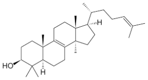 Lanosterol-giup-han-che-cuom-da